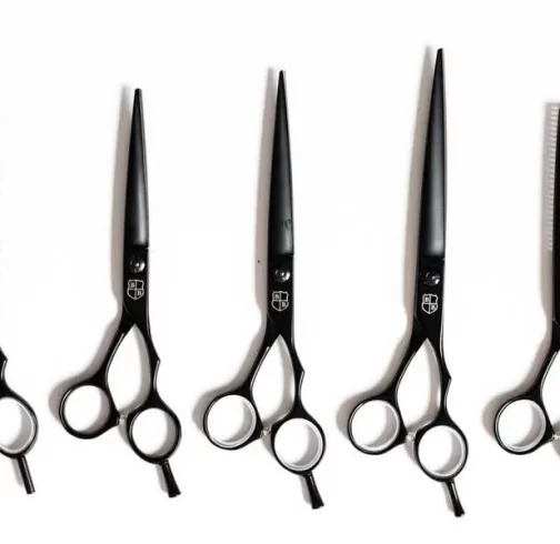 hair cutting shears