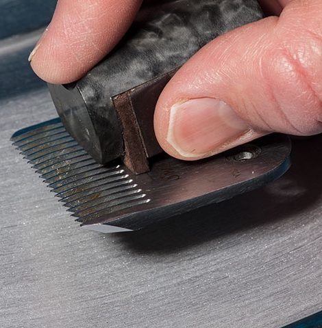 clipper sharpening